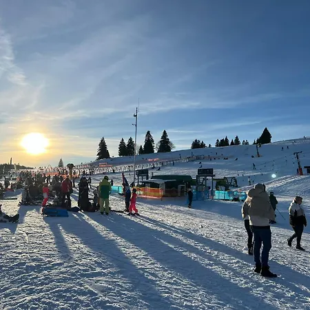 Seerose Titisee-Neustadt
